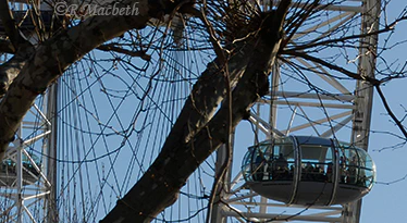 London Eye