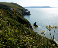 Llangranog-Cardigan-Bay-08