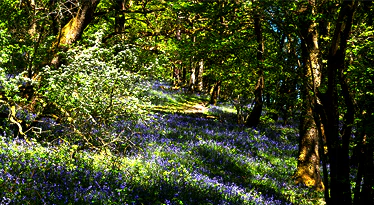 Cwrt-Y-Cadno,Wales-01