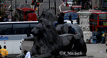 Bronze lions guarding Trafalgar square