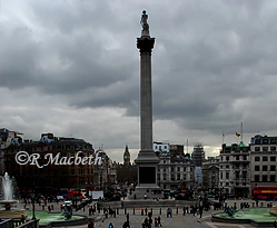 Full view of nelsons Column. Trafalgar Square