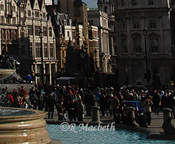 Nelsons Column. Trafalgar square